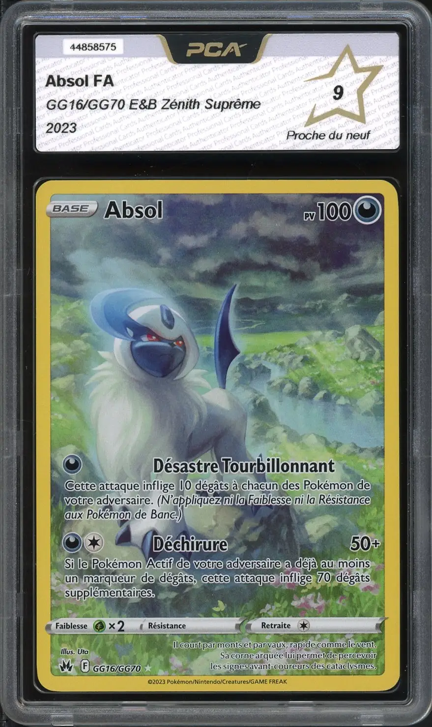 PCA 9 Absol
