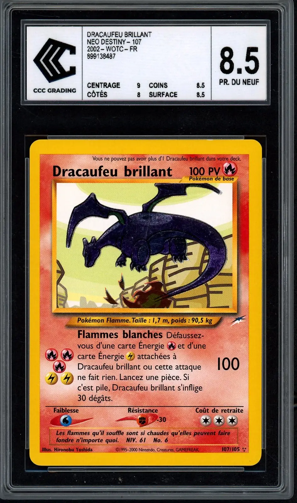 CCC 8.5 Dracaufeu Brillant