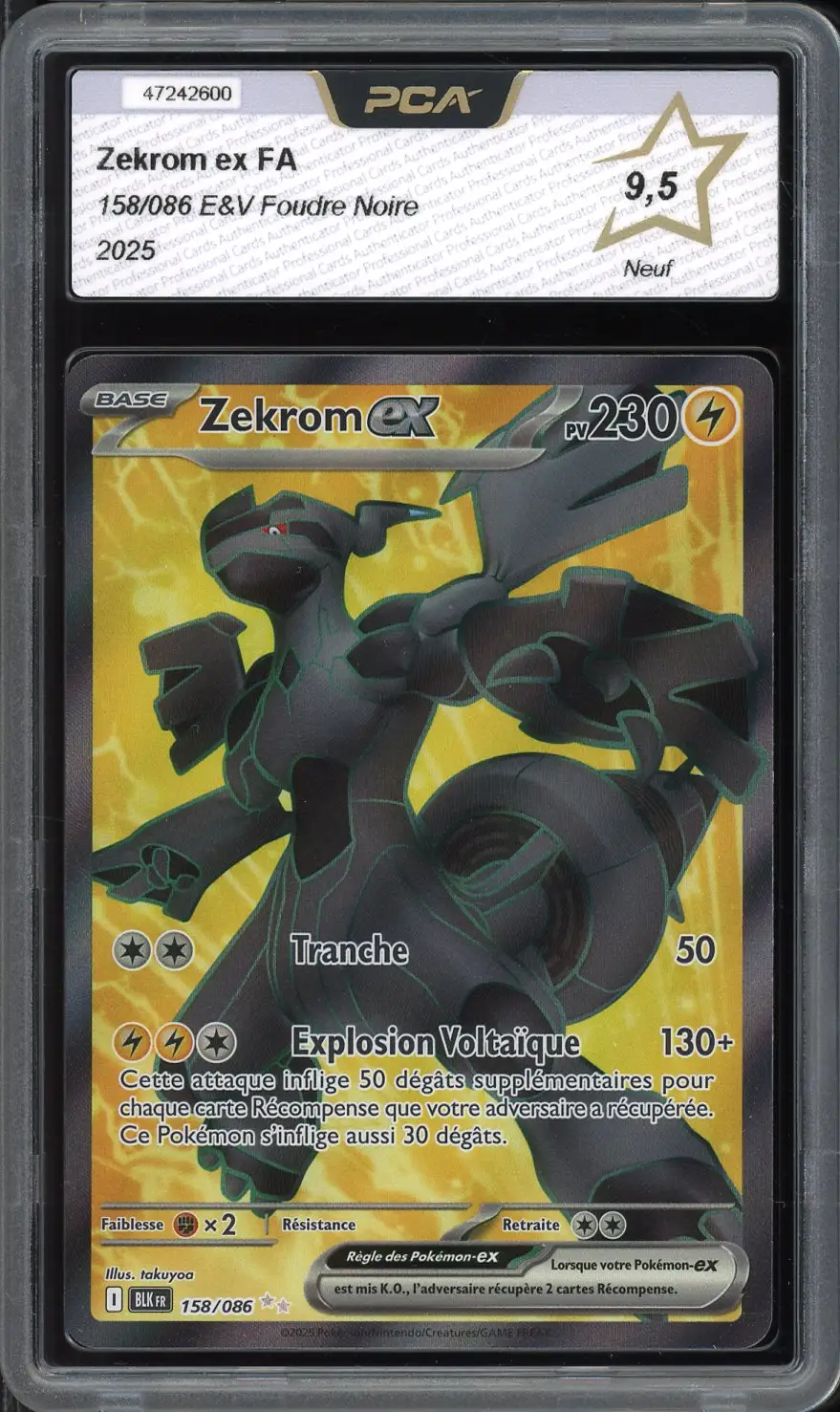 PCA 9.5 Zekrom Ex
