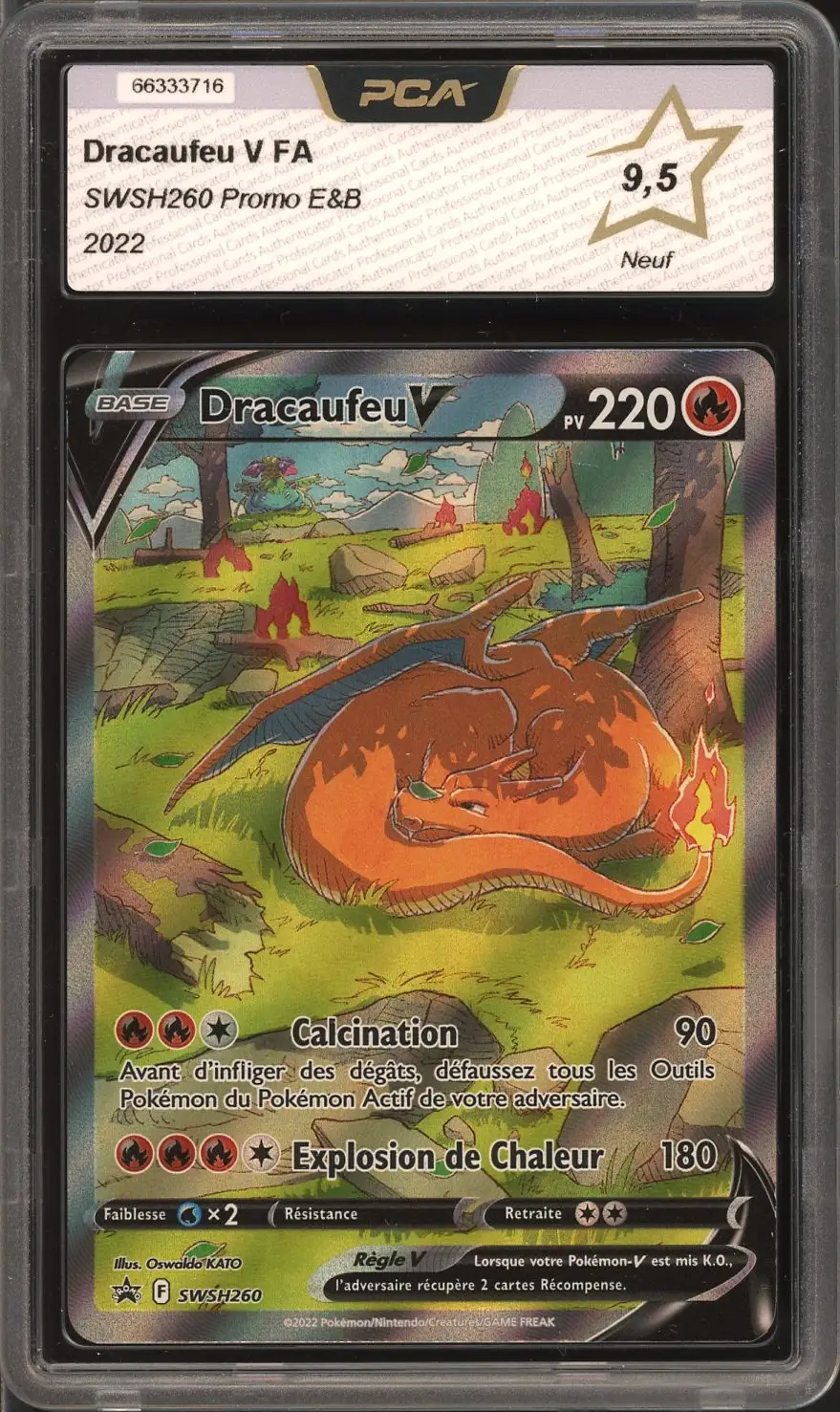 PCA 9.5 Dracaufeu V