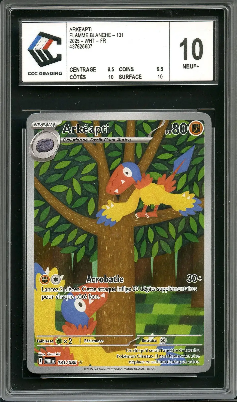 CCC 10 Arkéapti