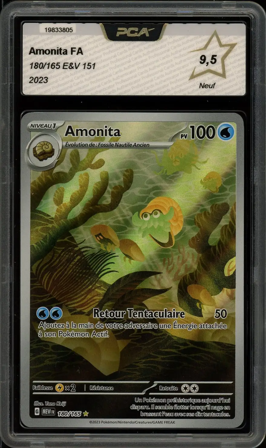PCA 9.5 Amonita