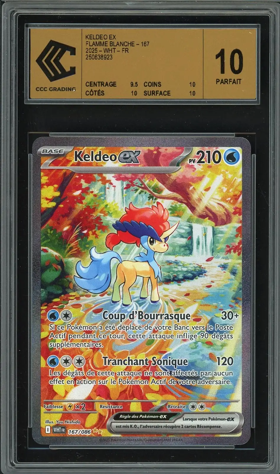 CCC 10 Keldeo Ex