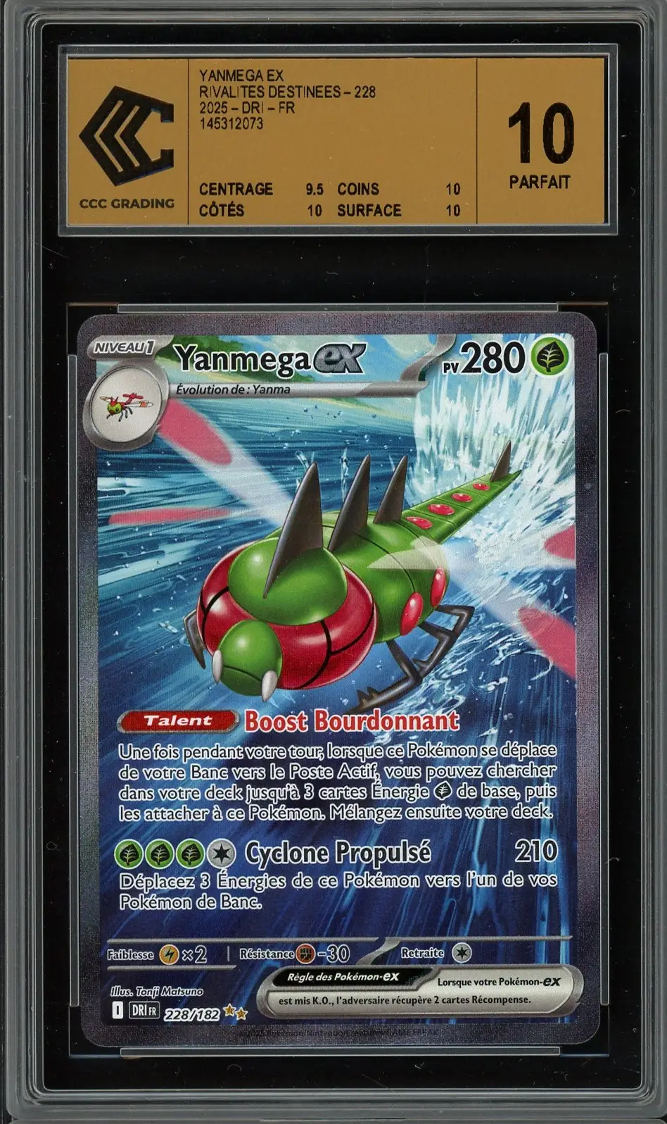 CCC 10 Yanmega Ex