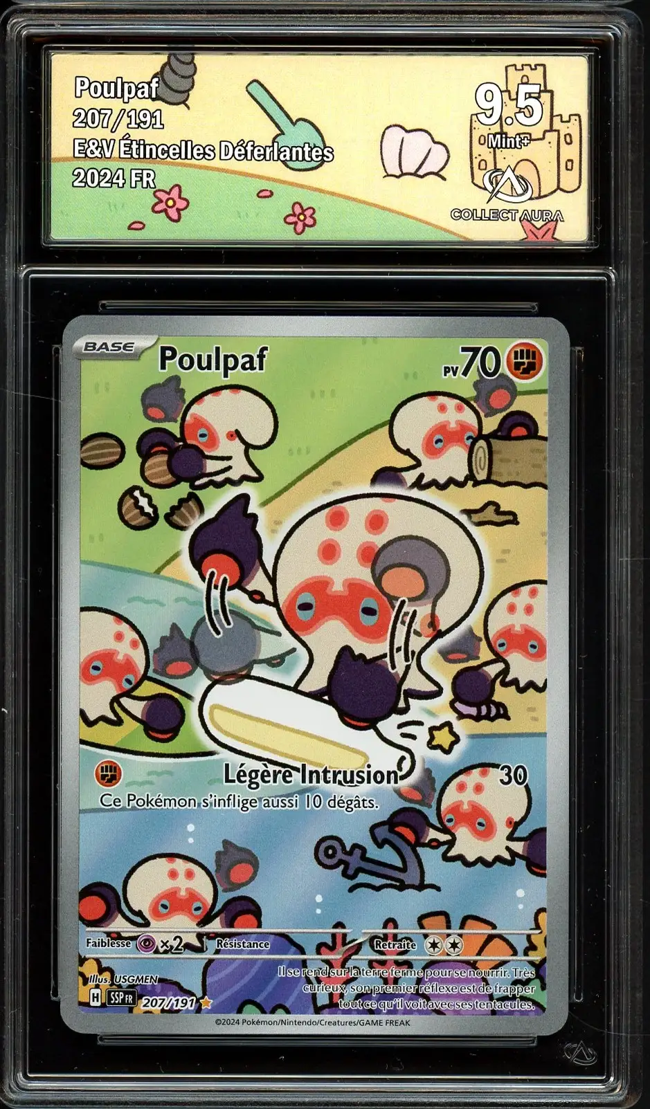 CA 9.5 Poulpaf
