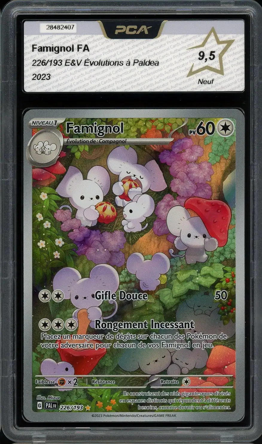 PCA 9.5 Famignol