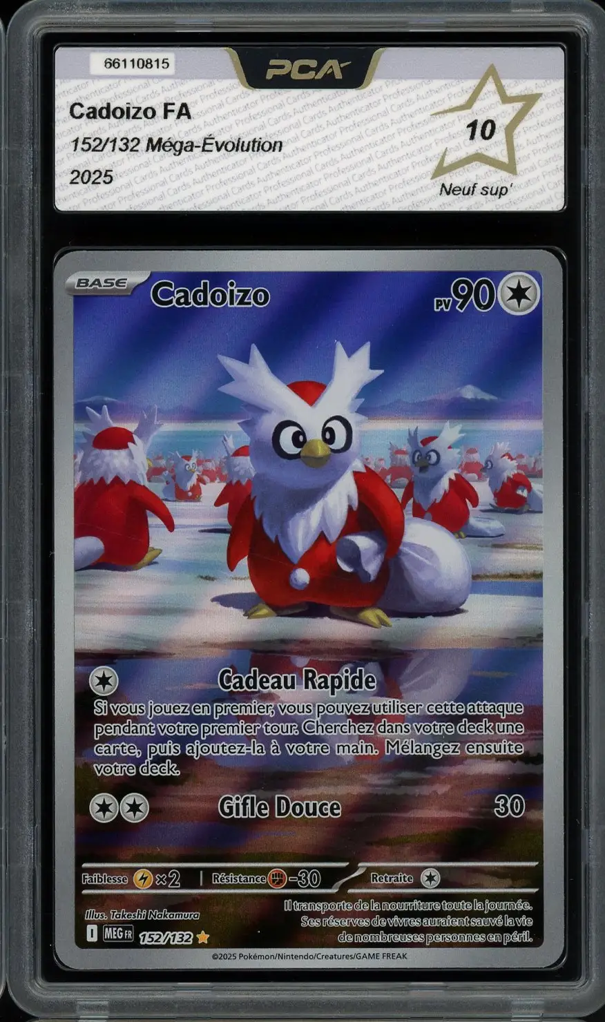 PCA 10 Cadoizo