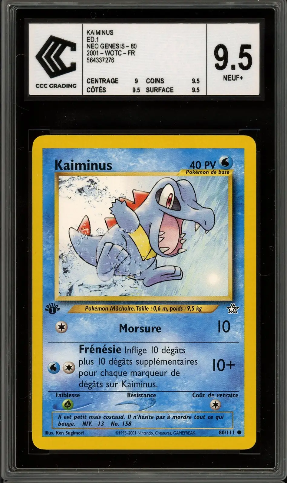 CCC 9.5 Kaiminus