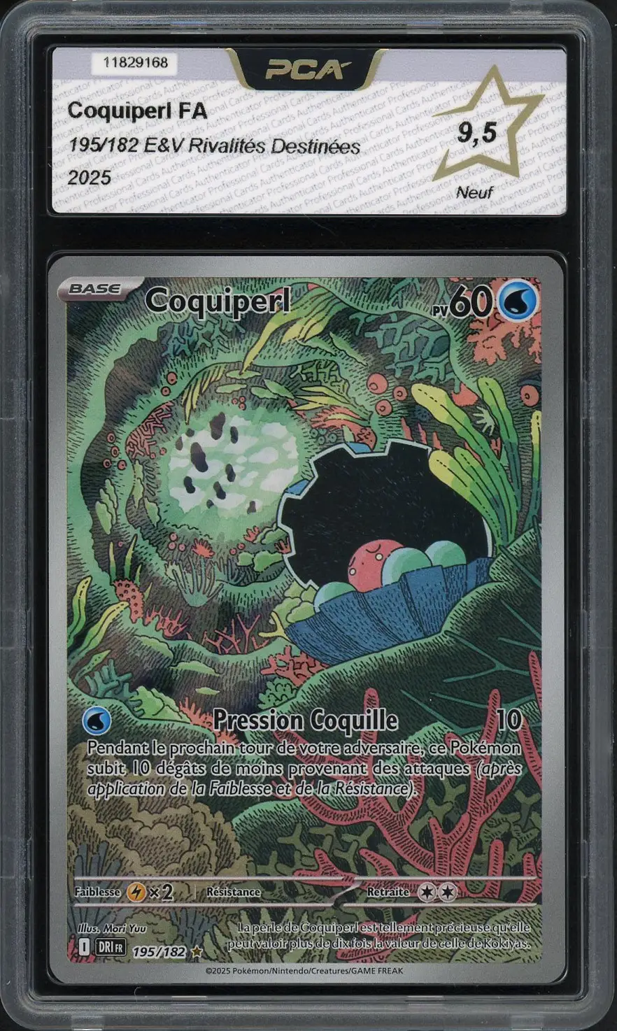 PCA 9.5 Coquiperl