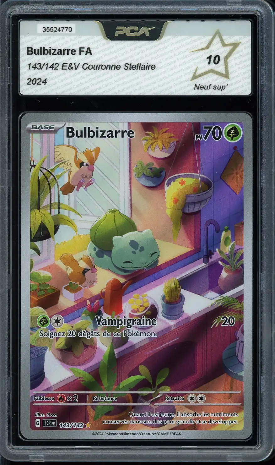 PCA 10 Bulbizarre