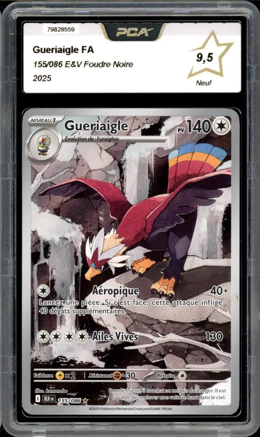 PCA 9.5 Gueriaigle