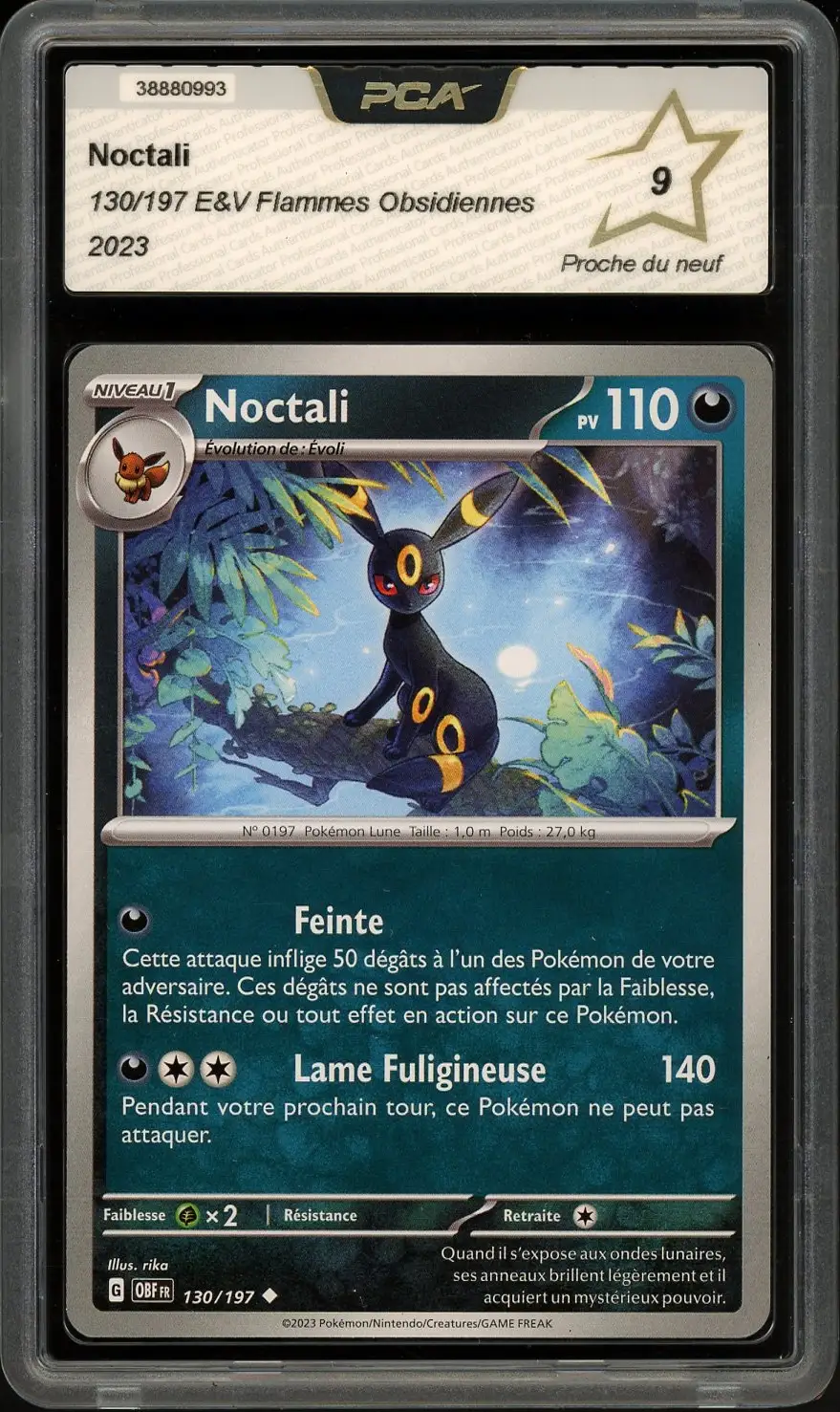 PCA 9 Noctali
