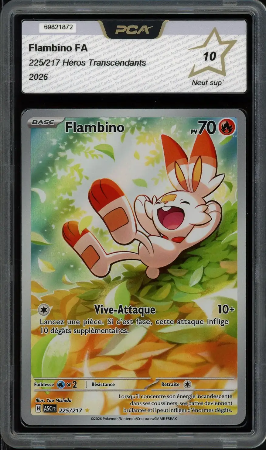 PCA 10 Flambino