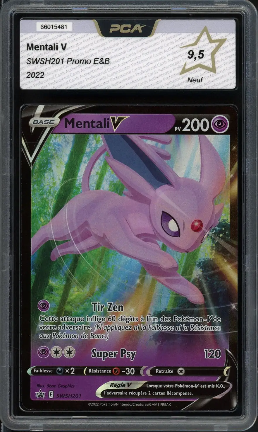 PCA 9.5 Mentali V