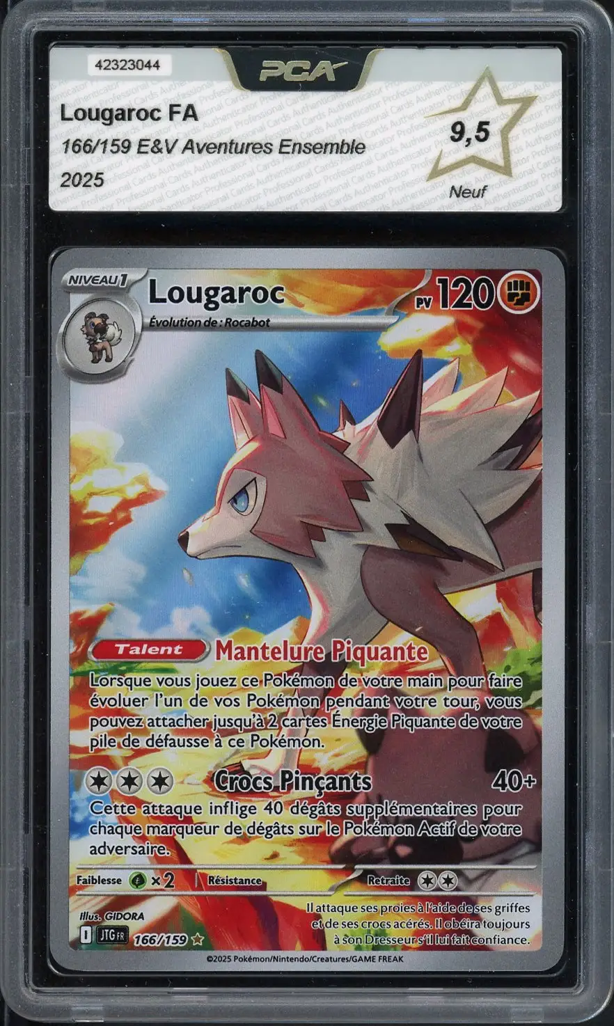 PCA 9.5 Lougaroc