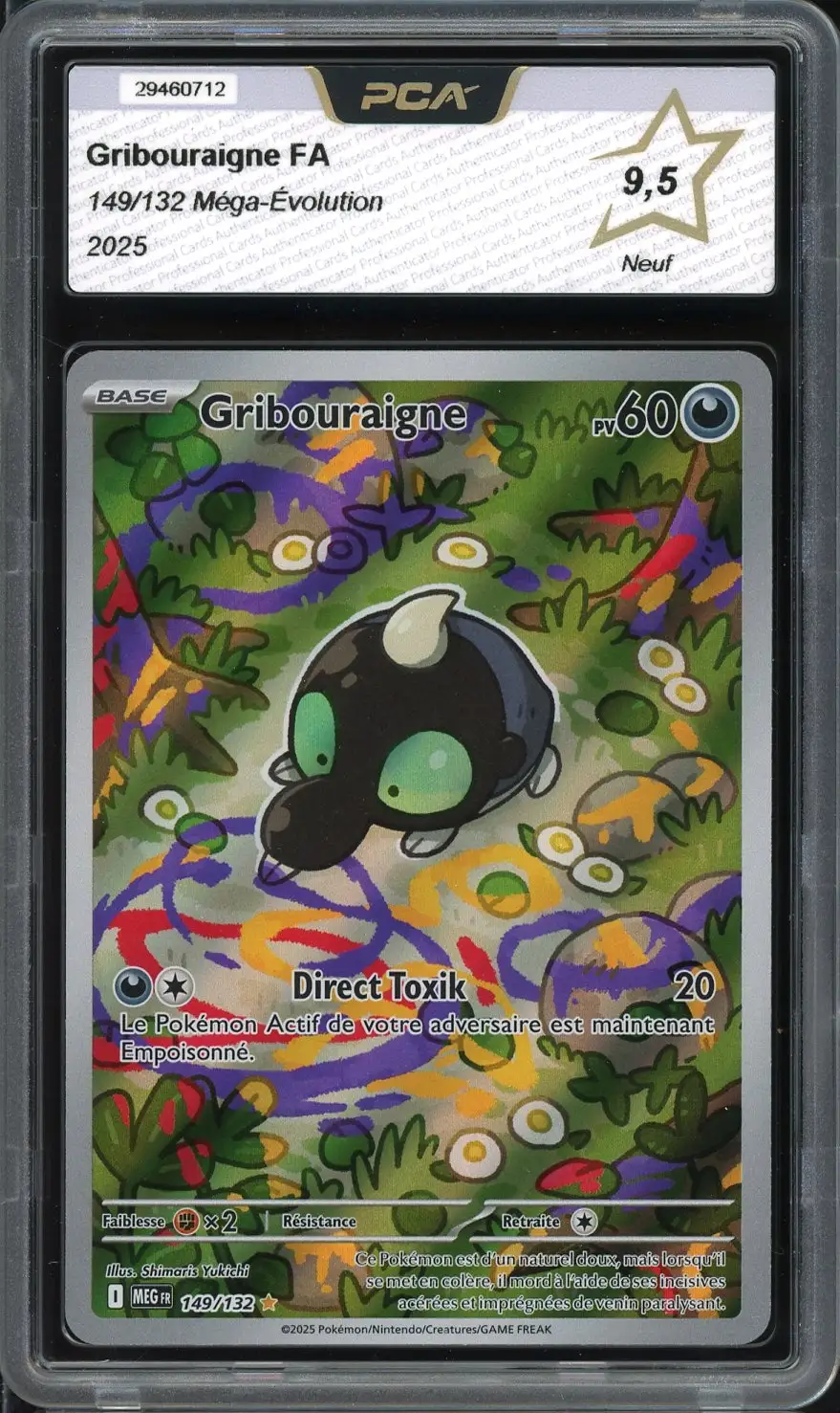 PCA 9.5 Gribouraigne