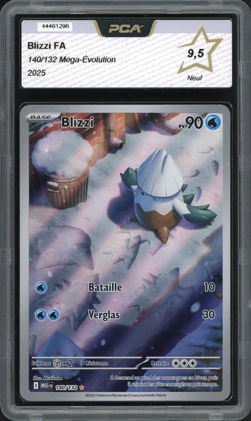 PCA 9.5 Blizzi
