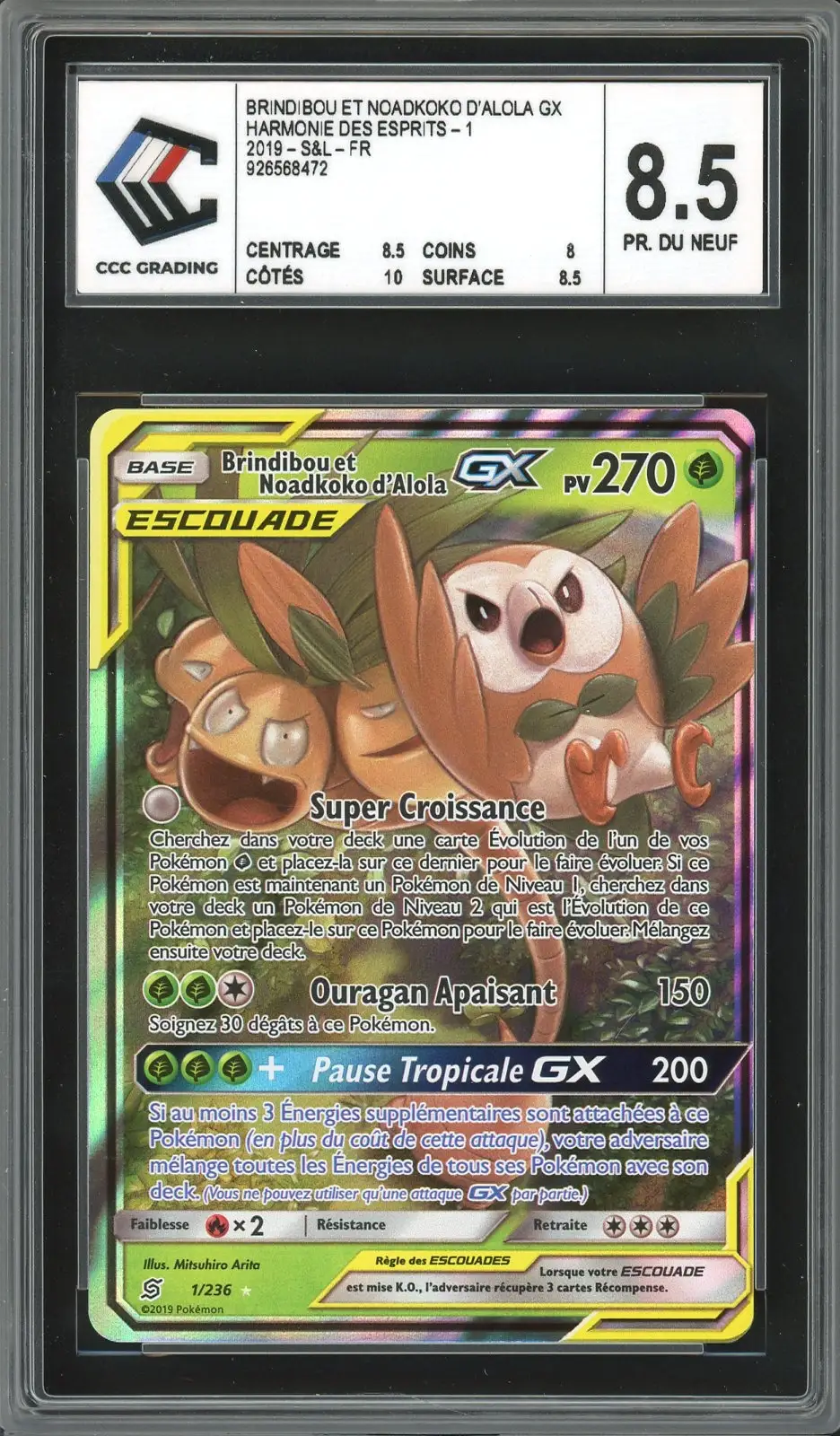 CCC 8.5 Brindibou et Noadkoko d’Alola Gx