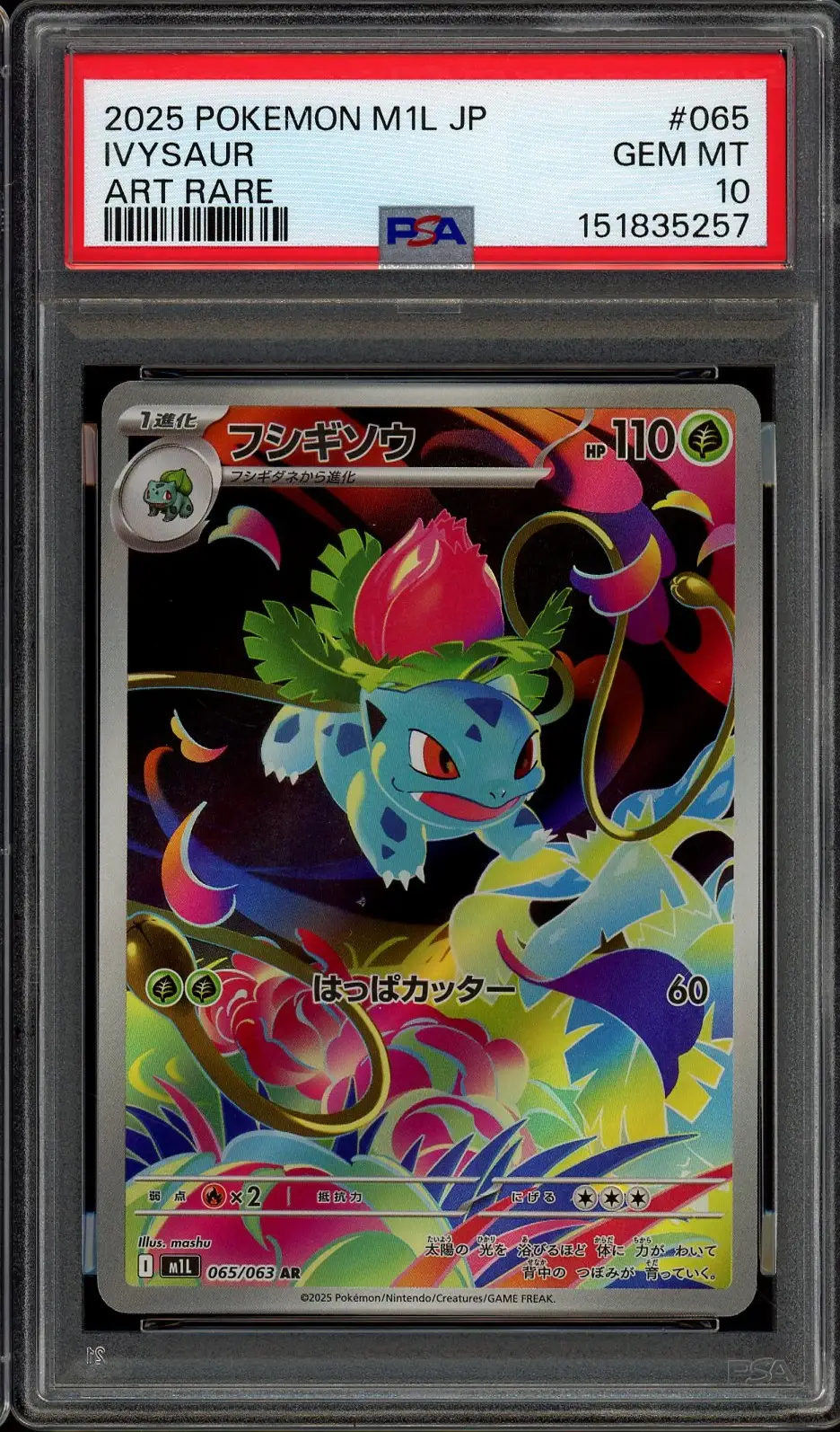 PSA 10 Ivysaur