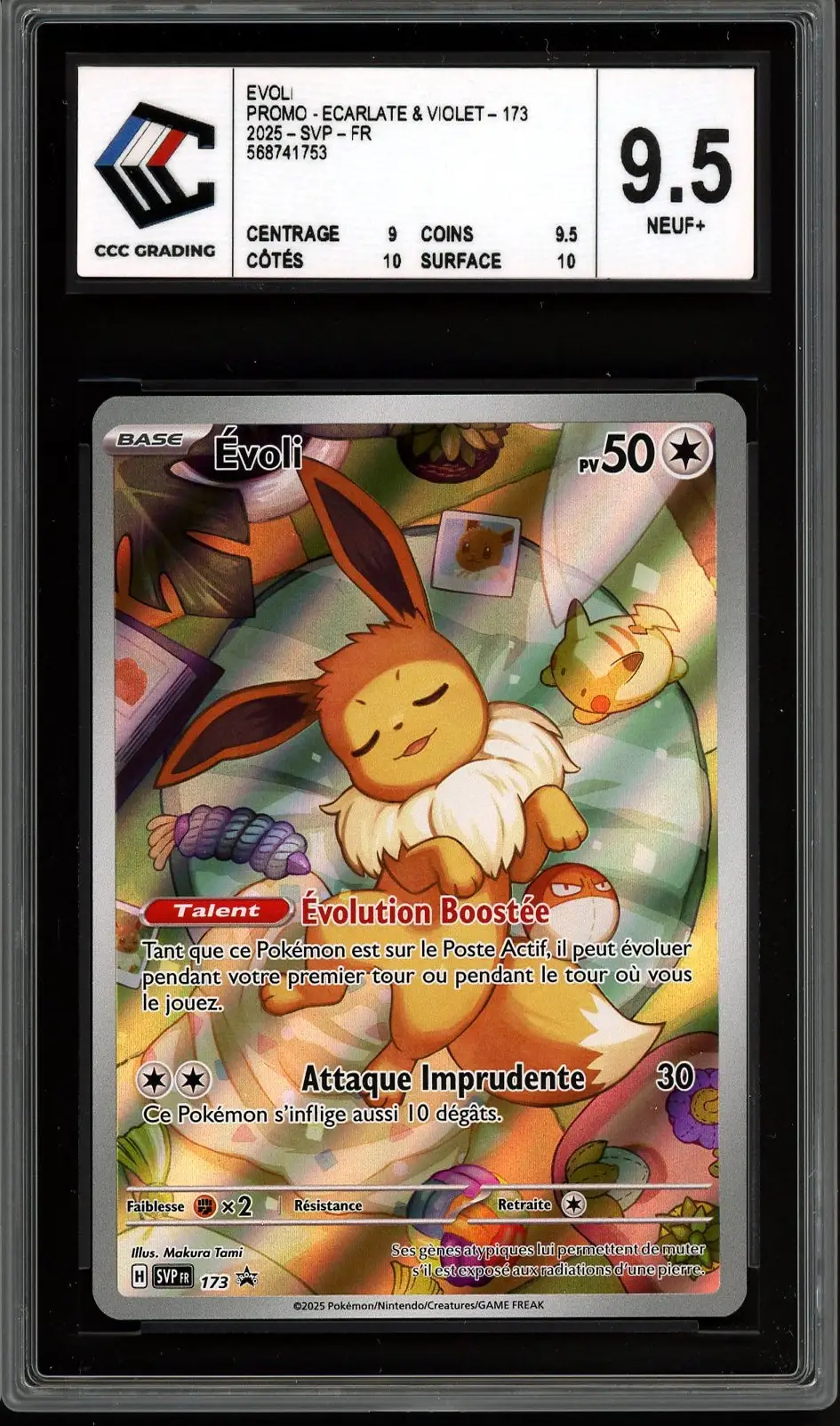 CCC 9.5 Evoli