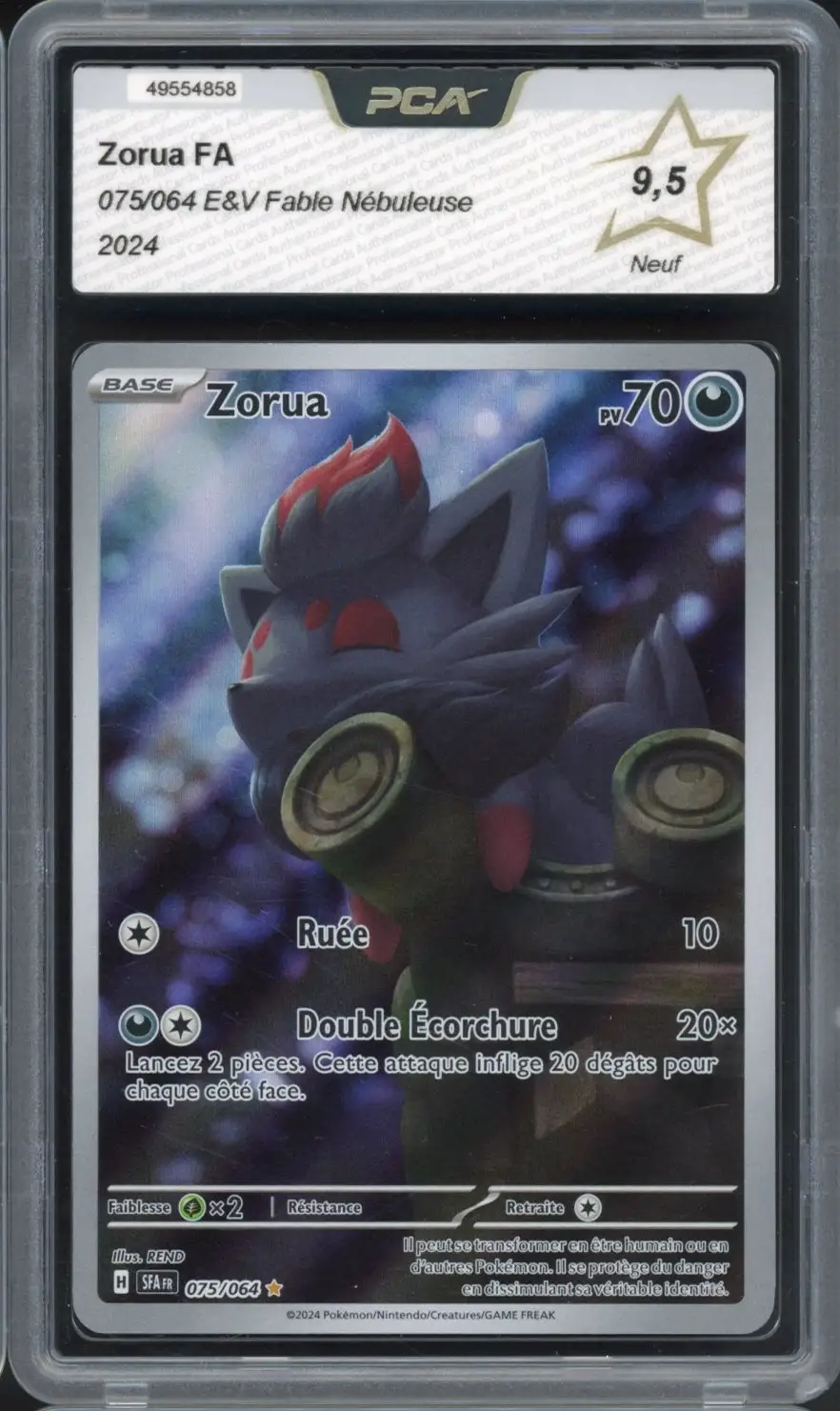 PCA 9.5 Zorua