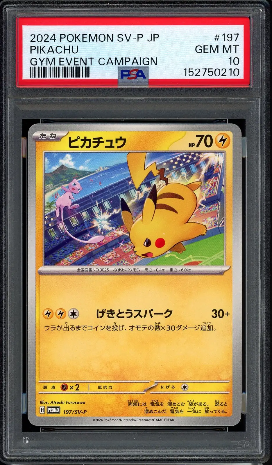 PSA 10 Pikachu