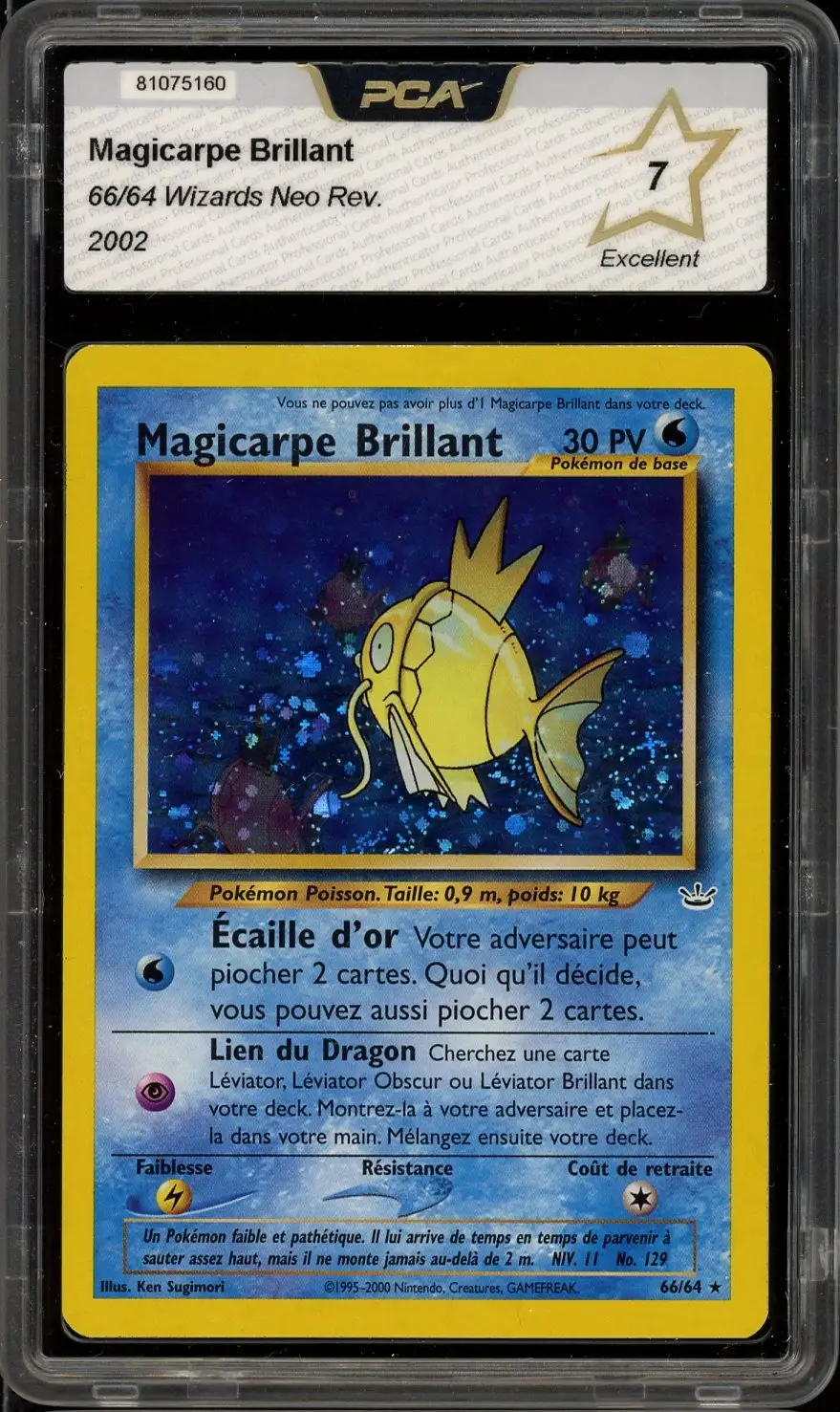 PCA 7 Magicarpe Brillant