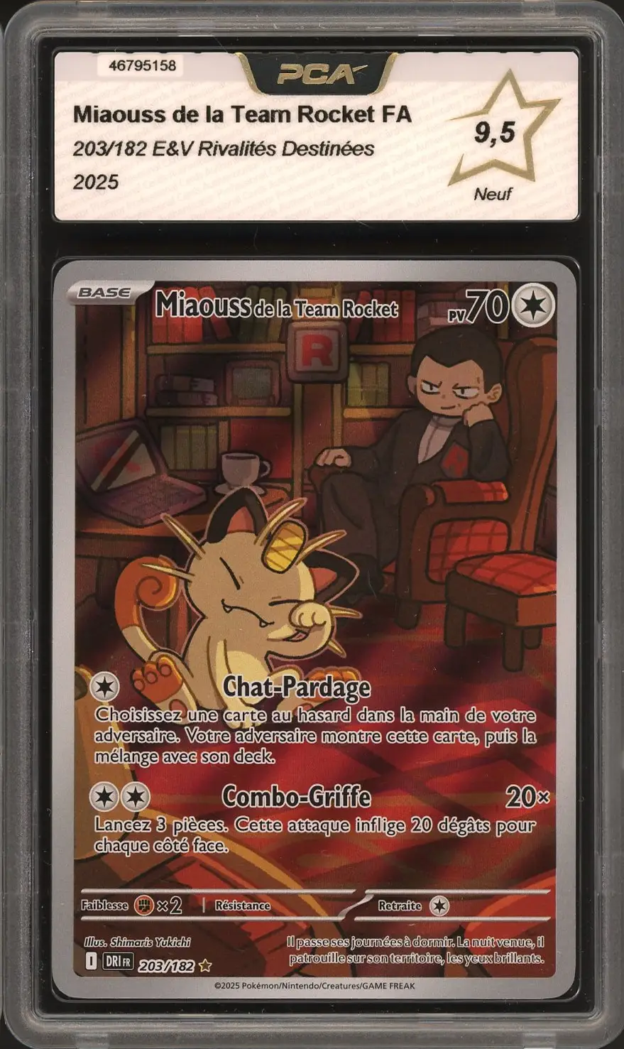 PCA 9.5 Miaouss de la Team Rocket