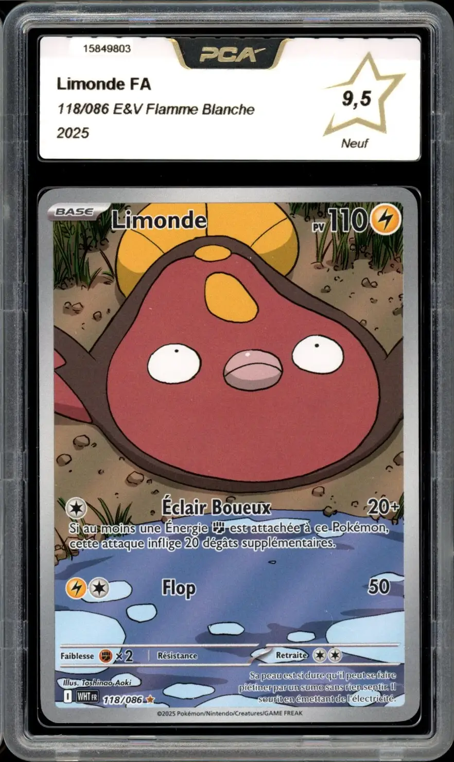 PCA 9.5 Limonde
