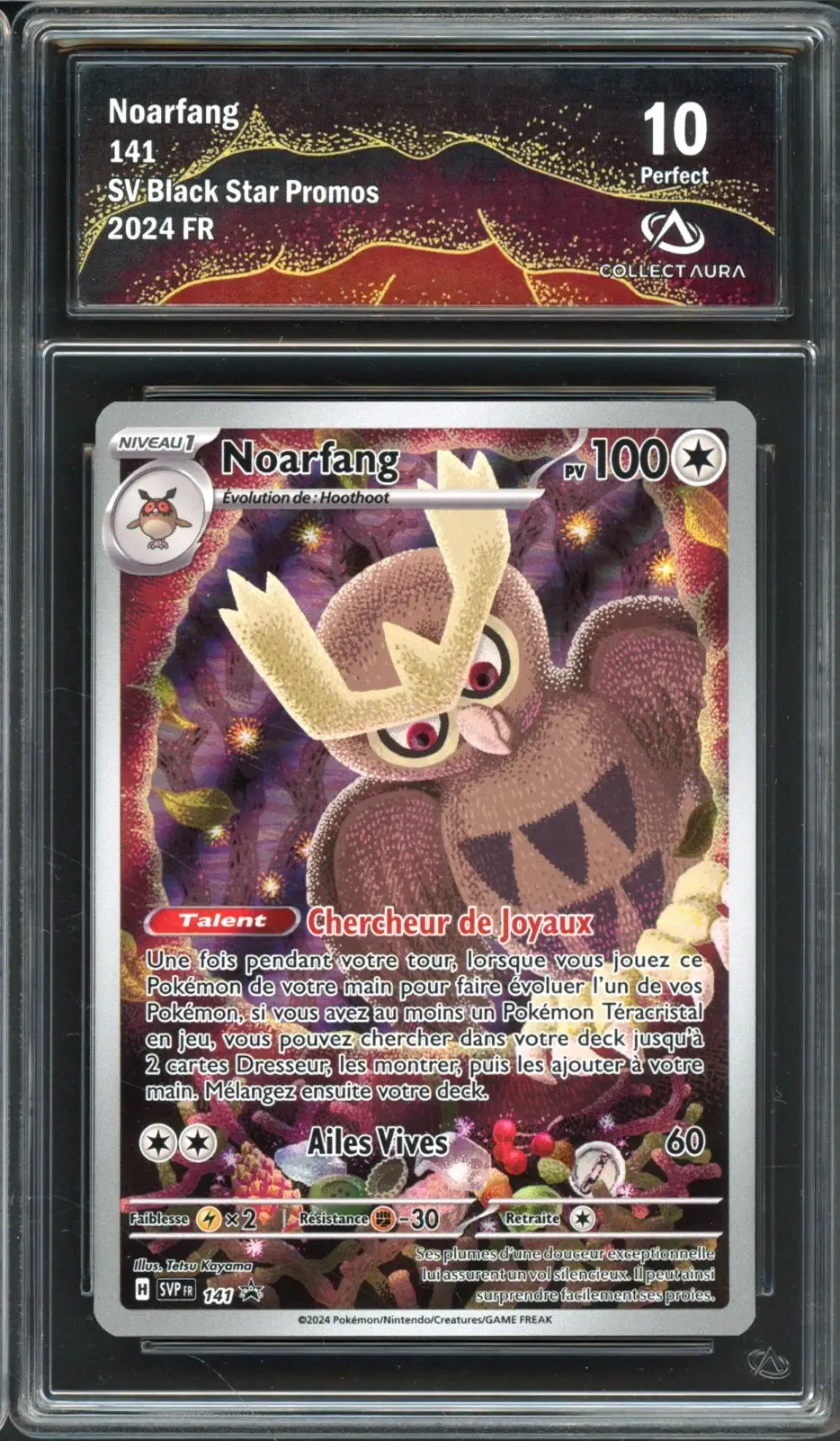 CA 10 Noarfang