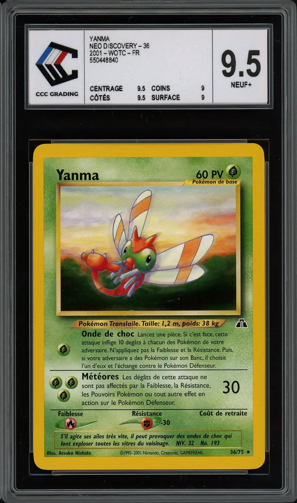 CCC 9.5 Yanma