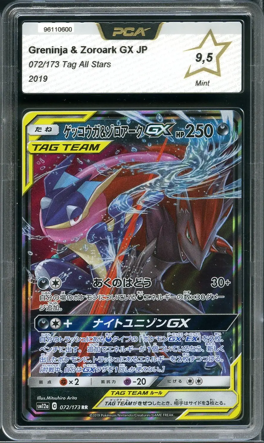 PCA 9.5 Greninja & Zoroark Gx