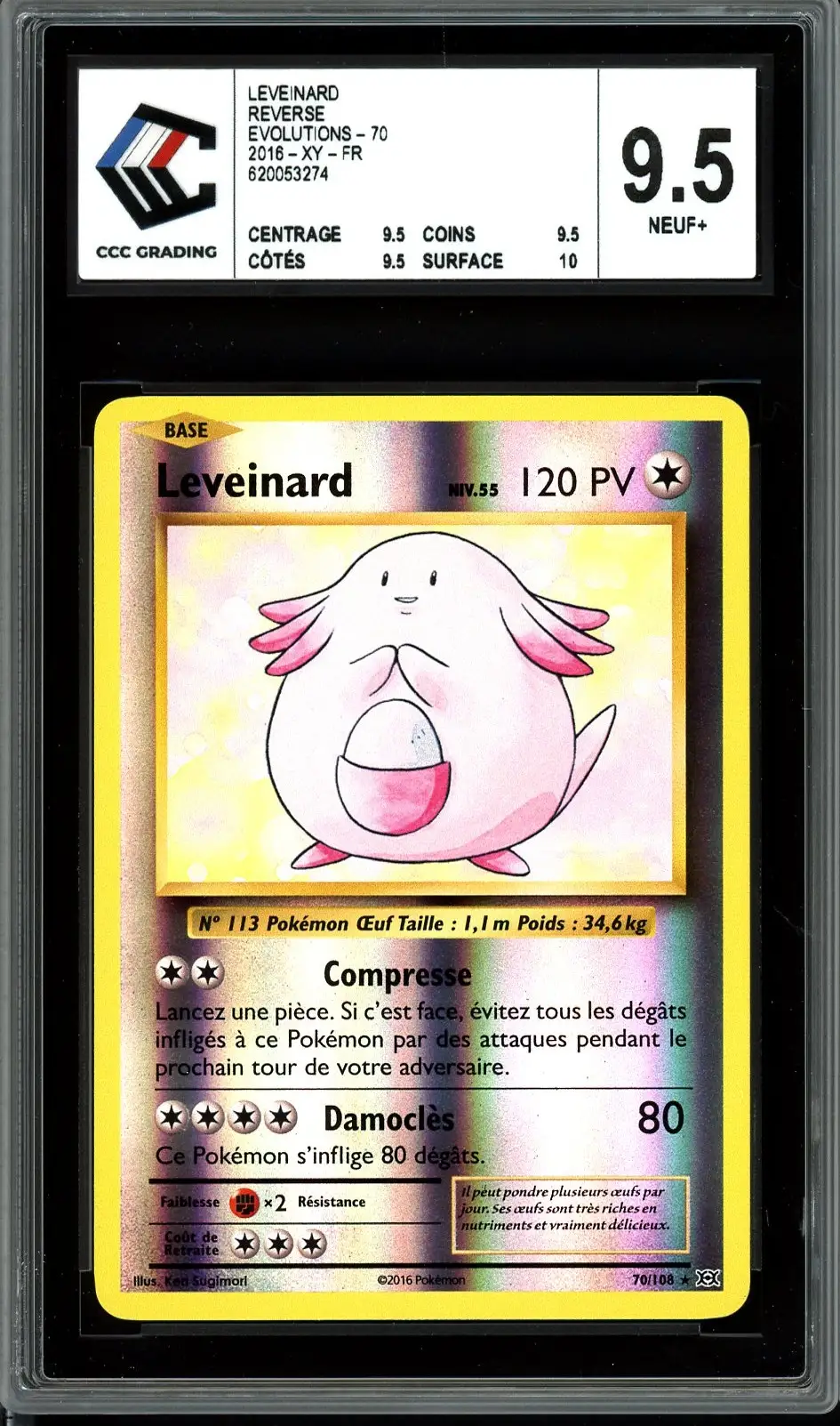CCC 9.5 Leveinard Reverse