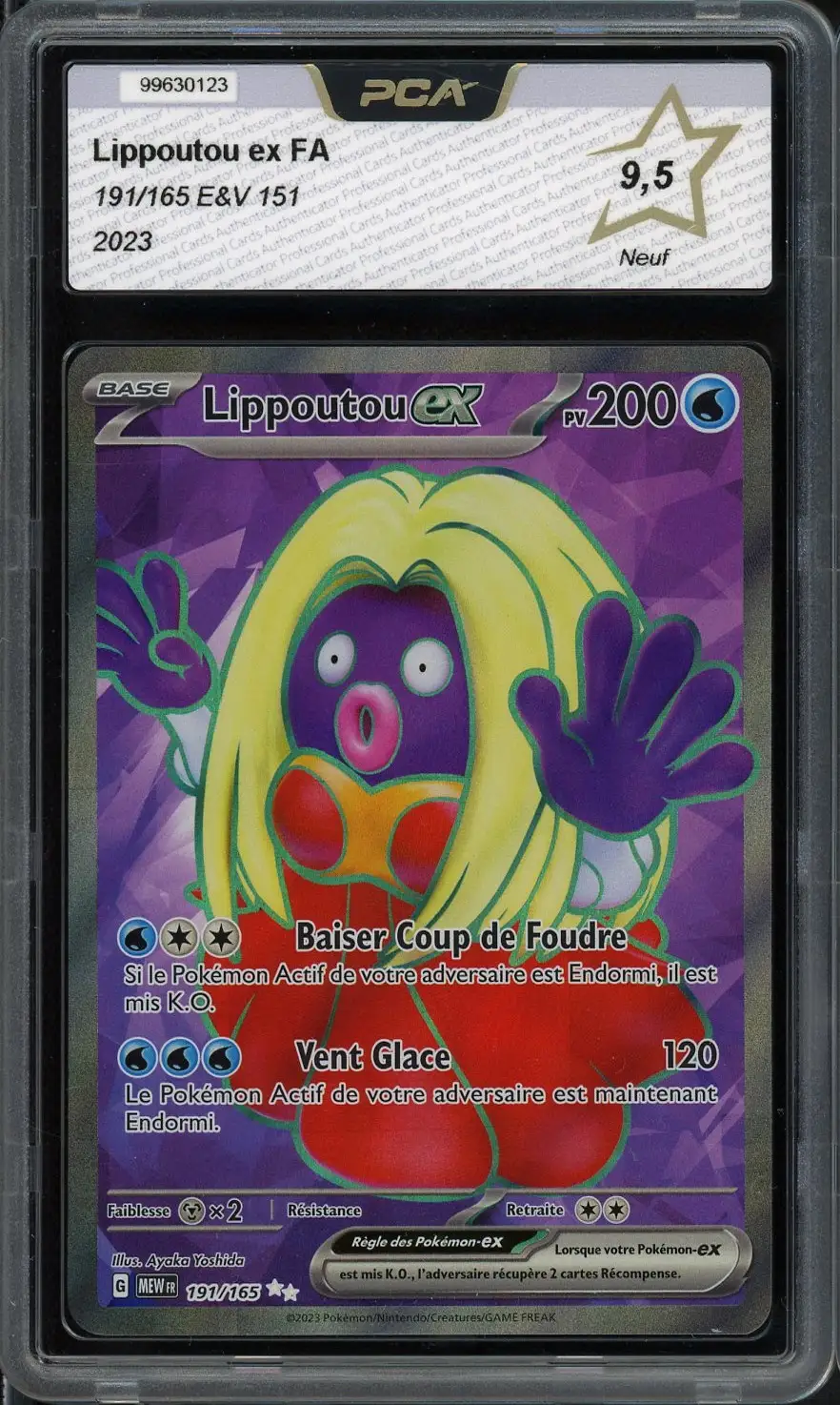 PCA 9.5 Lippoutou Ex