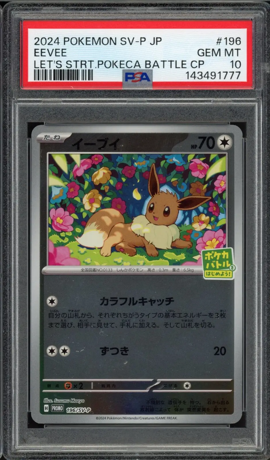 PSA 10 Eevee