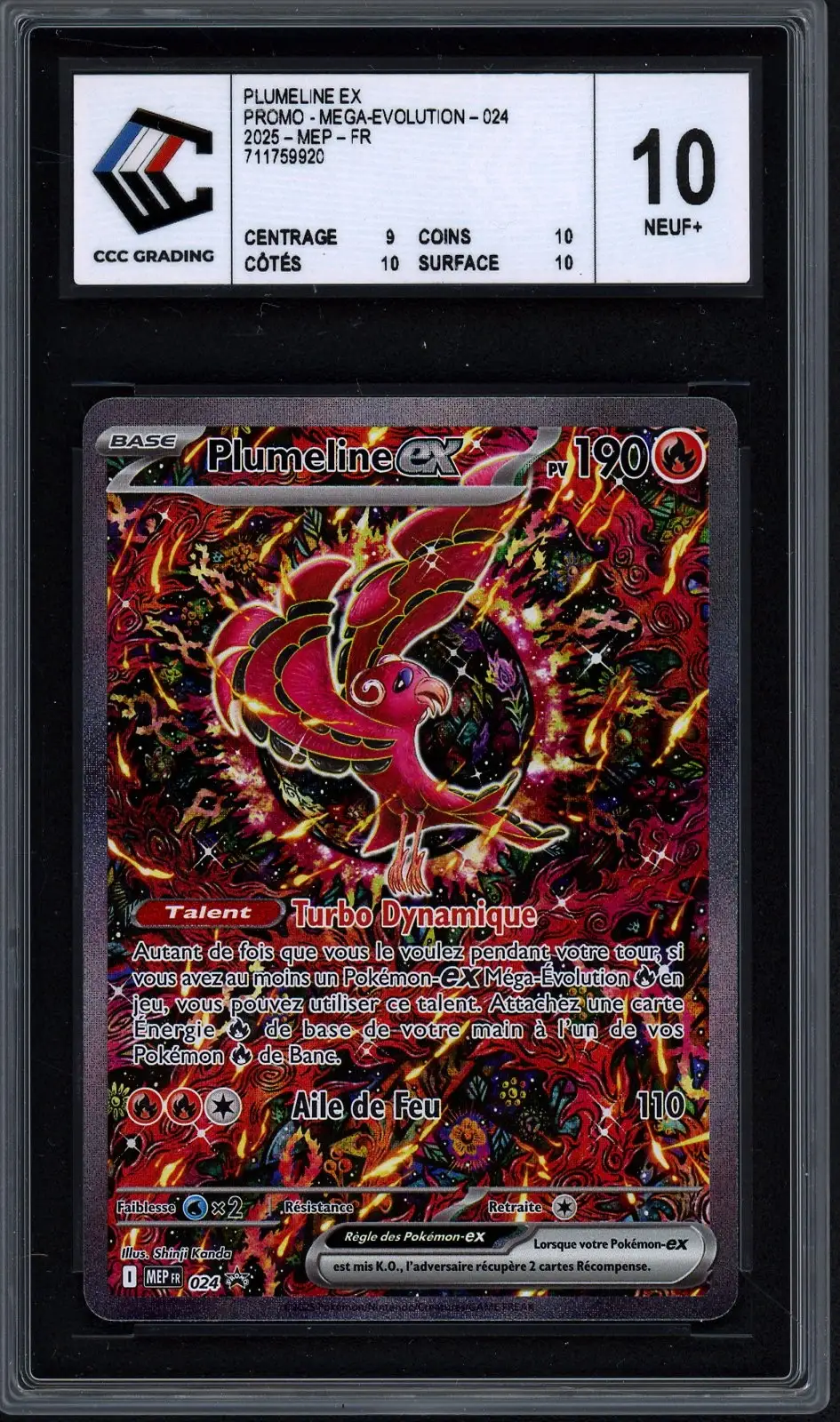 CCC 10 Plumeline Ex