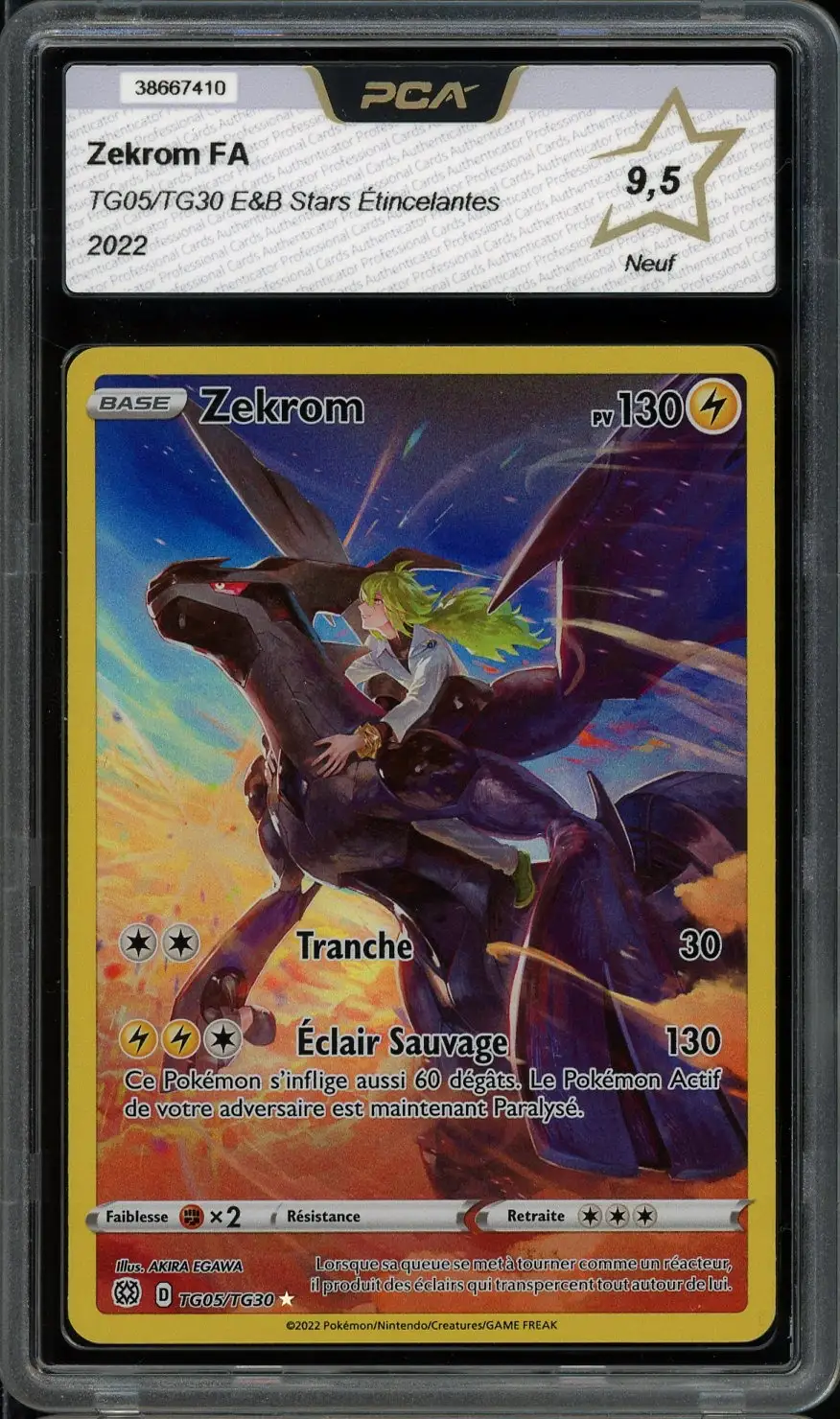 PCA 9.5 Zekrom