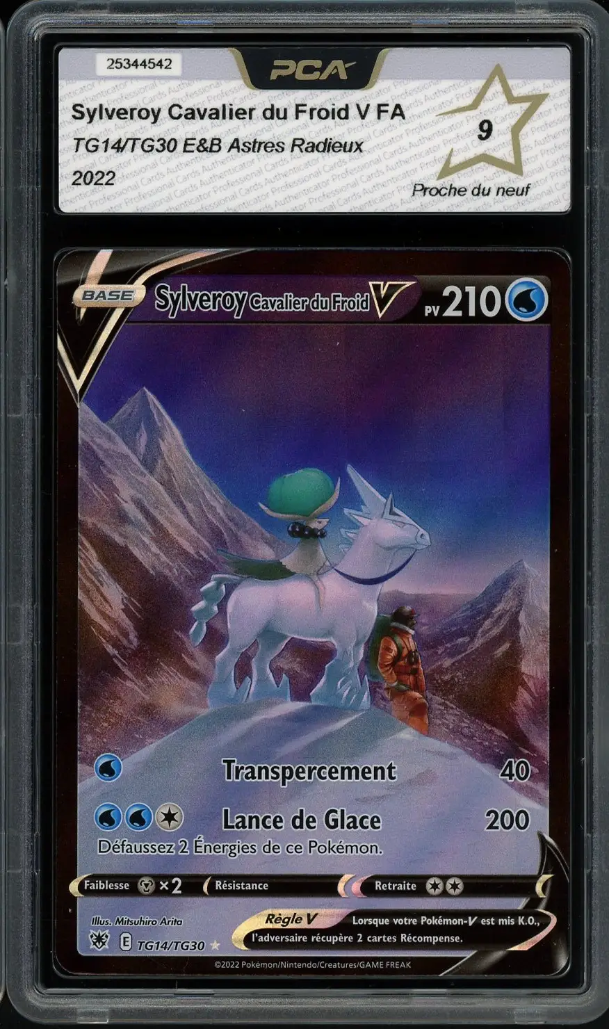 PCA 9 Sylveroy Cavalier du Froid V