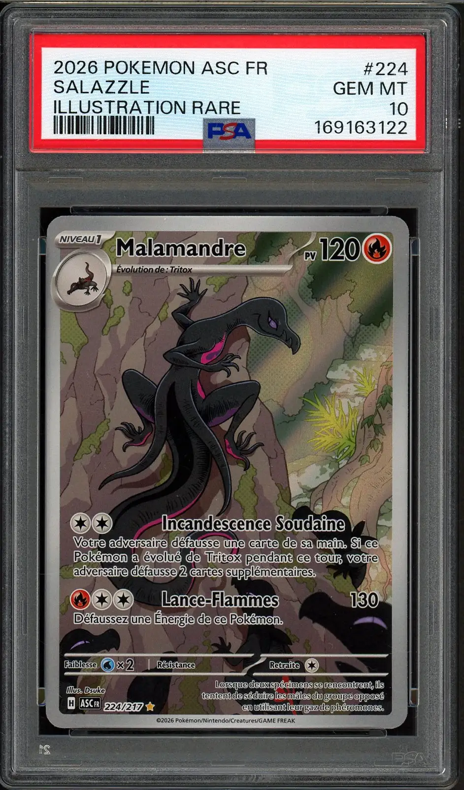 PSA 10 Malamandre