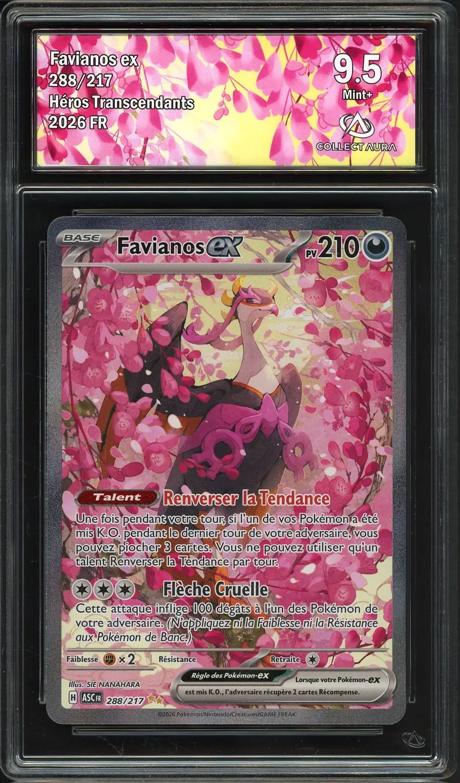 CA 9.5 Favianos Ex