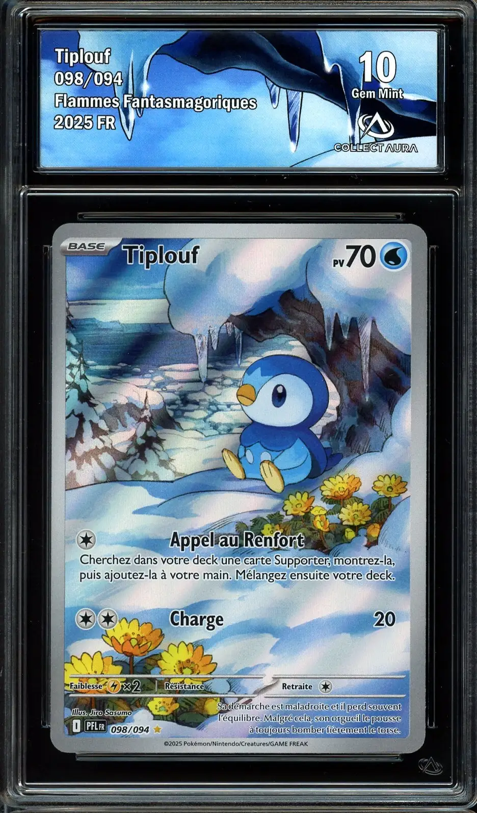 CA 10 Tiplouf