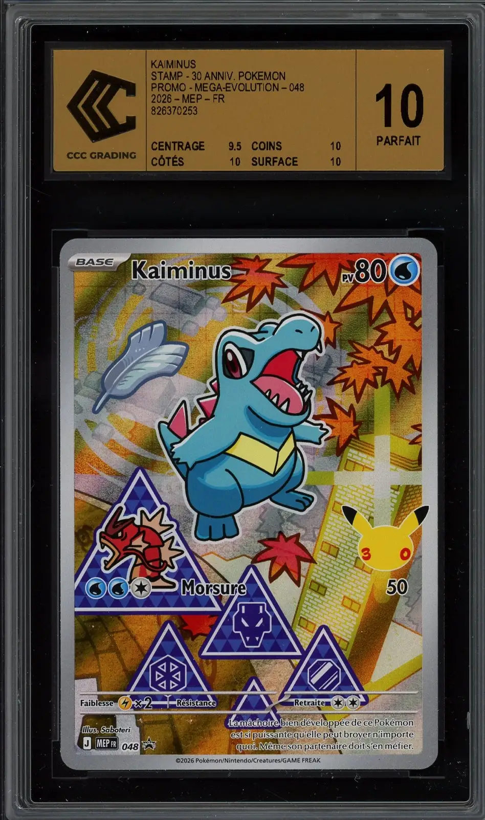 CCC 10 Kaiminus