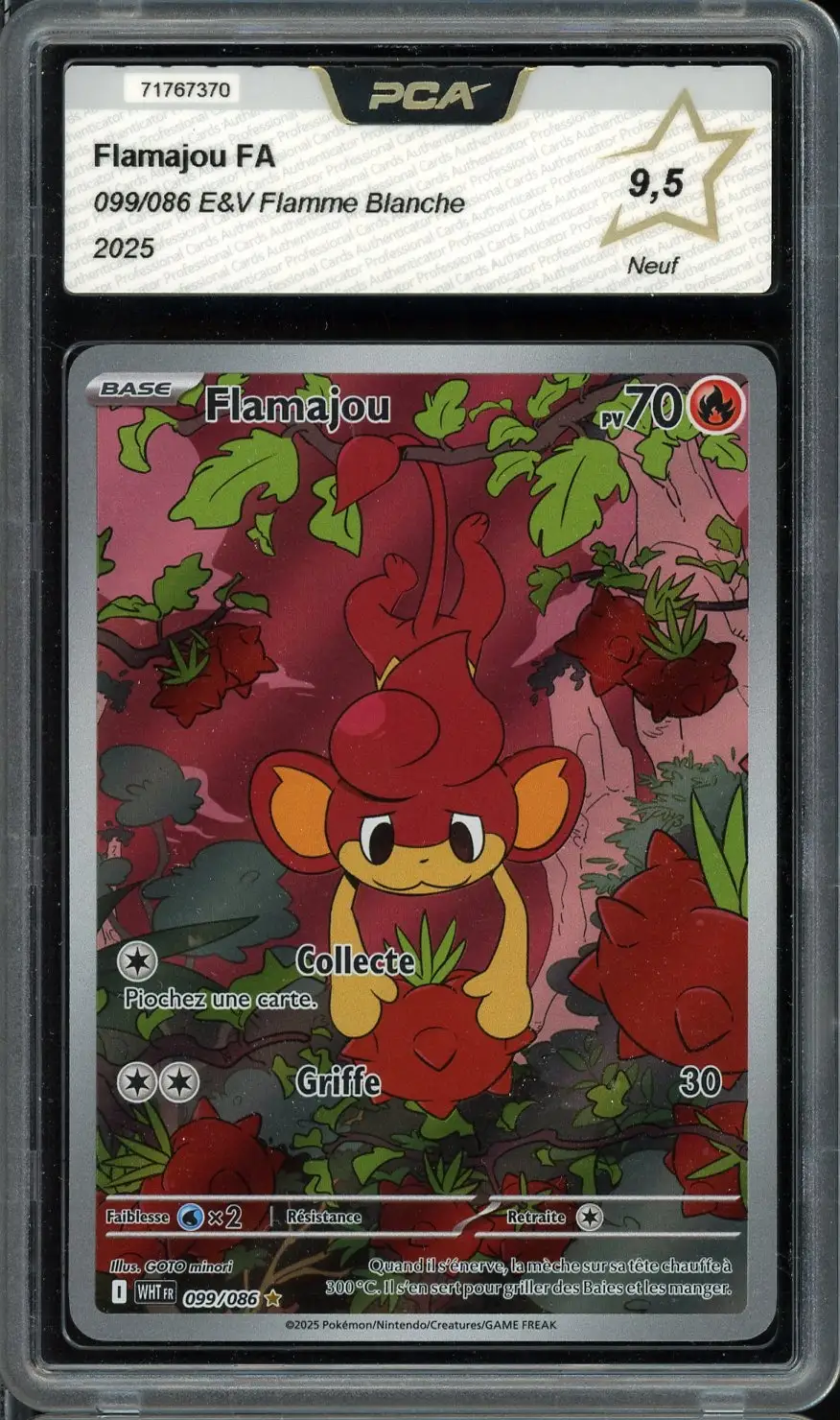 PCA 9.5 Flamajou