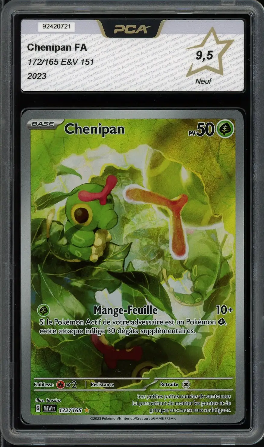 PCA 9.5 Chenipan