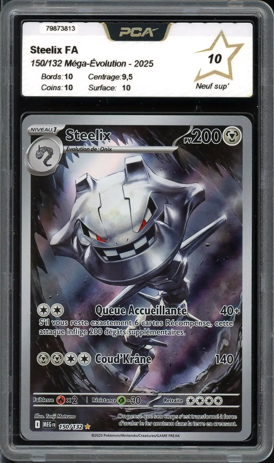 PCA 10 Steelix