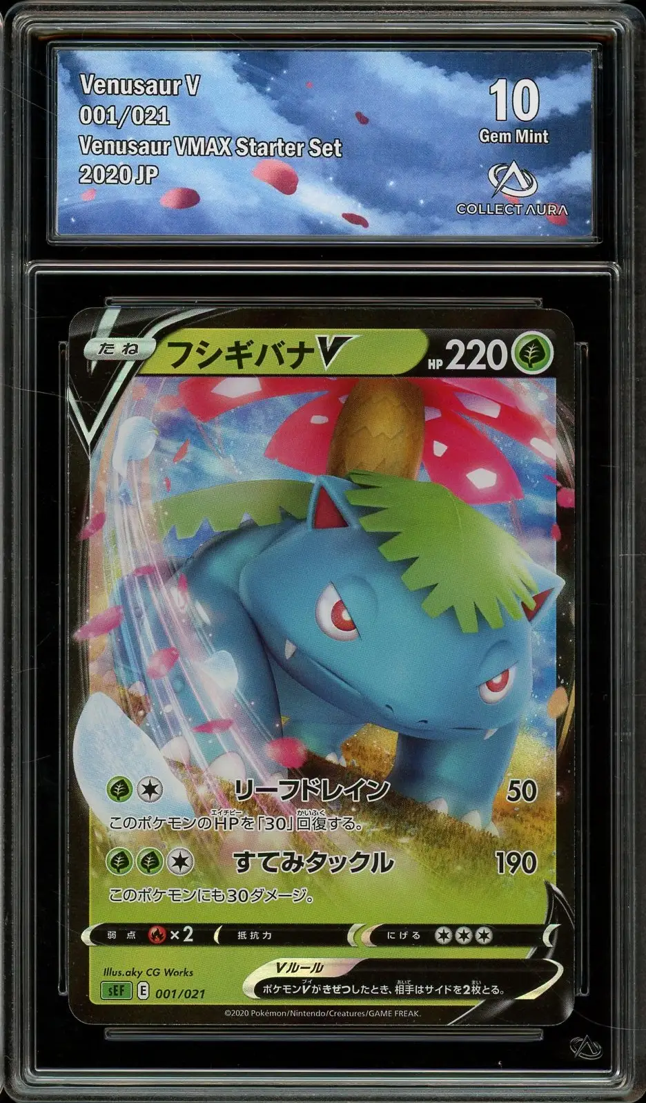 CA 10 Venusaur V