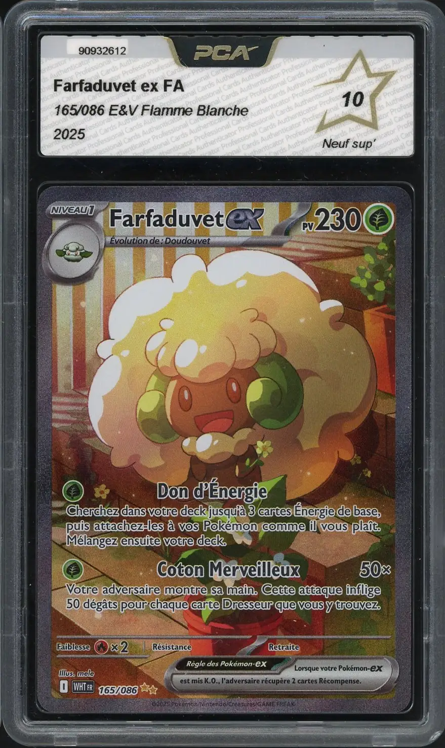 PCA 10 Farfaduvet Ex