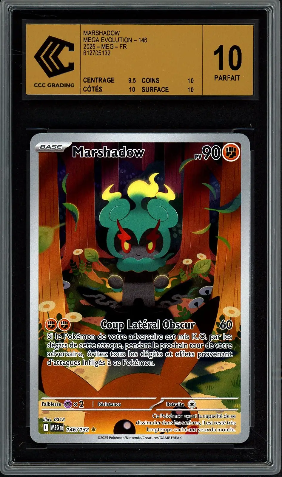 CCC 10 Marshadow