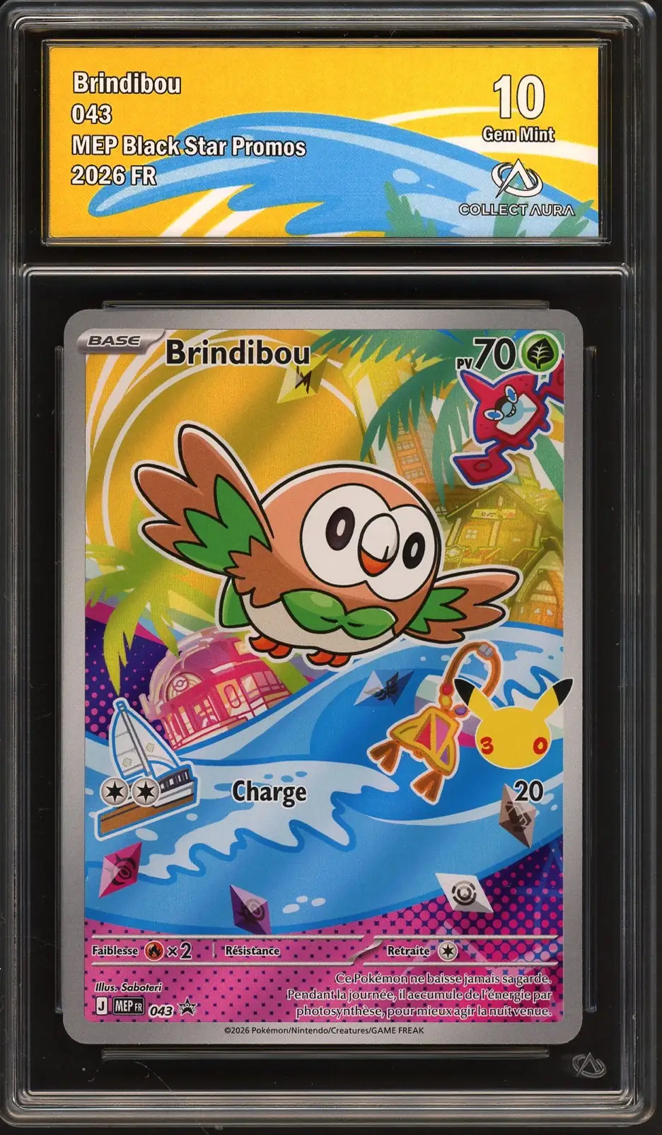 CA 10 Brindibou