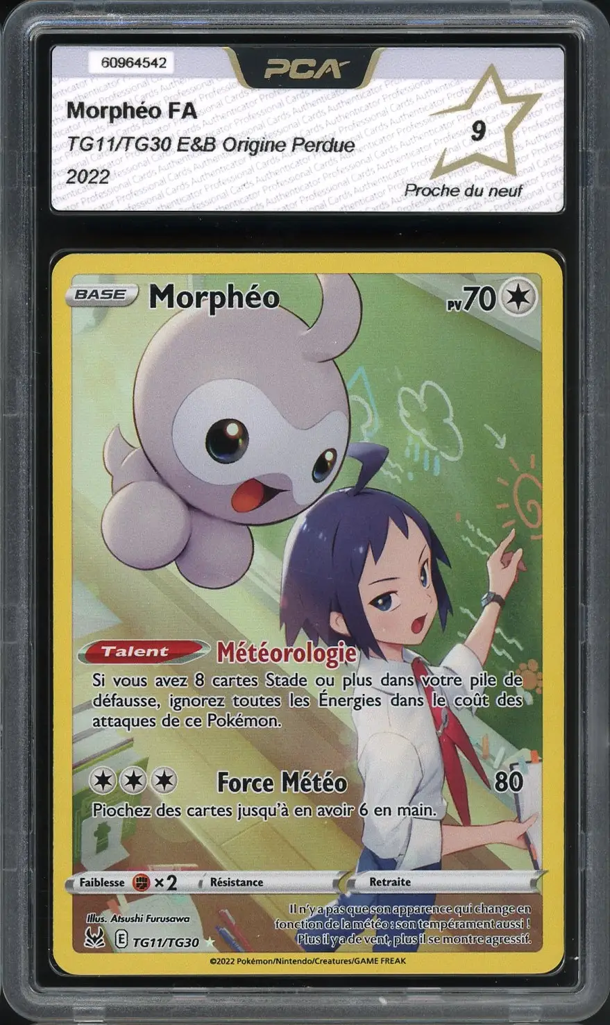 PCA 9 Morphéo